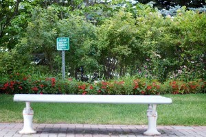 Is the City of Peterborough really as green as it thinks it is? (photo: Pat Trudeau) Is the City of Peterborough really as green as it thinks it is? (photo: Pat Trudeau)