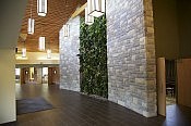 A living wall adorns the lobby of Highland Park Funeral Centre's beautiful, modern building (photo: Michael Hurcomb) A living wall adorns the lobby of Highland Park Funeral Centre's beautiful, modern building (photo: Michael Hurcomb)