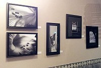 Photographs by Margaret Hamilton at Captain George's Restaurant (photo: Jeannine Taylor) Photographs by Margaret Hamilton at Captain George's Restaurant (photo: Jeannine Taylor)