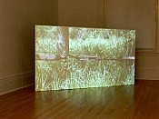 The entire front room of the Evans Contemporary gallery is consumed by Rutkauskas' video Oil! The entire front room of the Evans Contemporary gallery is consumed by Rutkauskas' video Oil!
