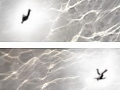 Into Light II & III: the aspect of these figures is subjective enough that you wonder about their orientation in space (photo: Roz Hermant) Into Light II & III: the aspect of these figures is subjective enough that you wonder about their orientation in space (photo: Roz Hermant)