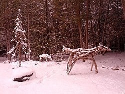 Scaled to pony-size driftwood horses frolic in David's front yard Scaled to pony-size driftwood horses frolic in David's front yard