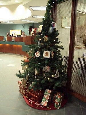 Santas for Peterborough Seniors Christmas trees are available at three locations, including this tree at Kawartha Credit Union at Lansdowne Place Mall (photo:  Jay Lough Hayes)