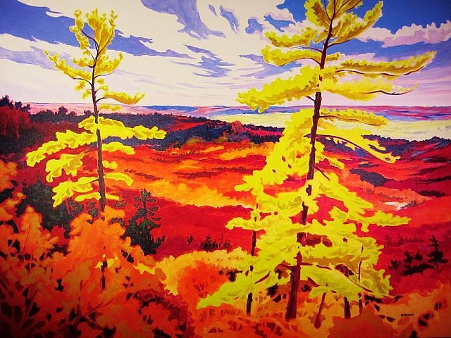 Nabuur's brilliant use of colour and light conjures up all the glory of autumn in Algonquin Park.