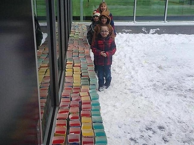 Freezing the ice bricks