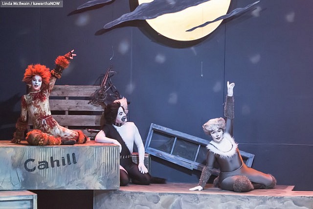 Cats Dress Rehearsal 09