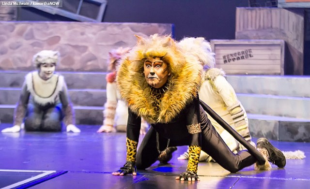 Cats Dress Rehearsal 34