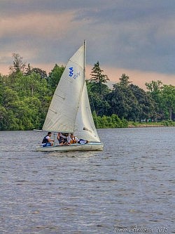 Brownsea Base is seeking the public's help in locating the stolen racing sailboat