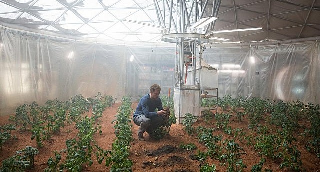 Food could actually be grown in Martian soil under the right conditions