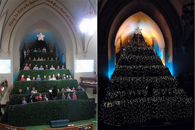 Around 60 people make up the choir of The Living Christmas Tree, which towers 70 feet above the church floor