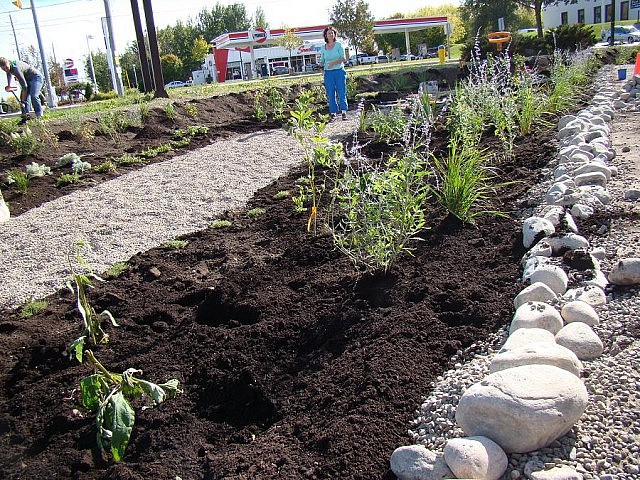 Nearly 100 community volunteers transformed a parking lot into a rain garden at Wireless Solutions in Peterborough (photo: Peterborough GreenUP)