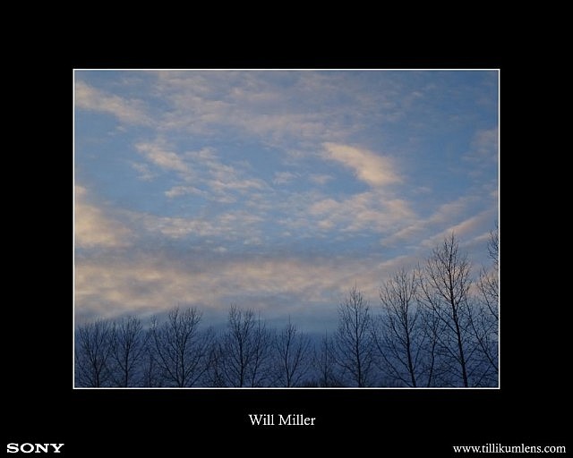 Photography by Will Miller