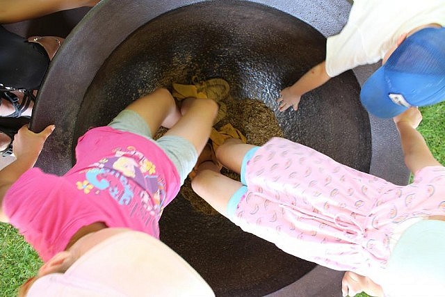 Children wearing moccasins dance on wild rice to remove the chaff from the grain at the Wild Rice Dance Off activity centre where they also learn about the history and lifecycle of the plant and the importance that water has on its development (photo: Karen Halley, GreenUp)