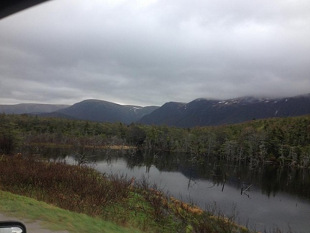 A shot out of the window on the way to Gros Morne National Park in Newfoundland.