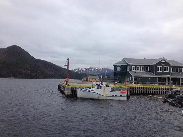 A part of the harbour in Norris Point, Newfoundland.